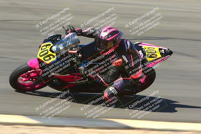 media/Mar-12-2022-SoCal Trackdays (Sat) [[152081554b]]/Bowl Set 2 (1025am)/